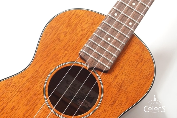 HM-T Custom